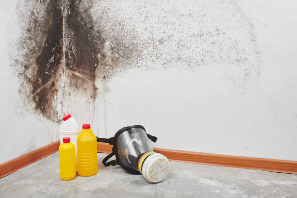 Crawl Space Mold Removal in San Joaquin, CA