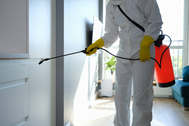 Best Water Damage Restoration  in San Joaquin, CA