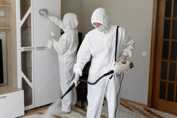 Best Mold Testing  in San Joaquin, CA