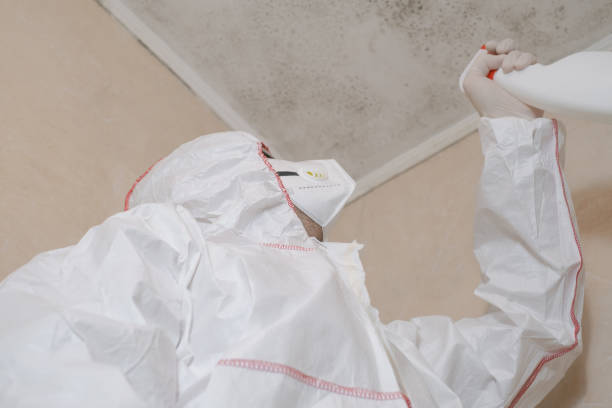 Best Affordable Mold Removal  in San Joaquin, CA