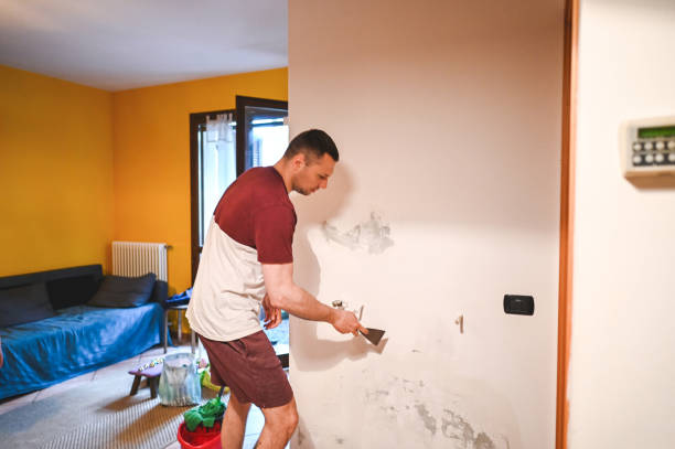Home Mold Removal in San Joaquin, CA